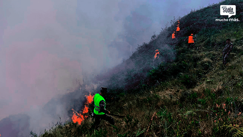 Bongará: Incendio forestal en el sector de Huembo afectó varias hectáreas.