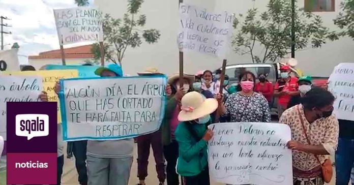 Chachapoyas | Pobladores de Santa Rosa marchan en defensa de áreas verdes