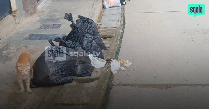 Chachapoyas| Personas que saquen basura fuera del horario establecido serán multadas
