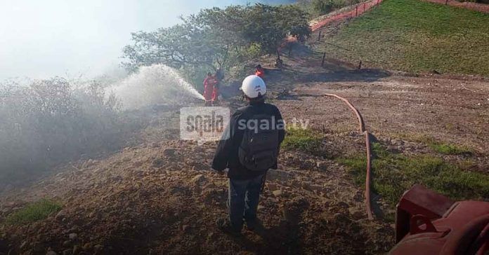 Chachapoyas: Bomberos luchan por sofocar incendio forestal en Achamaqui