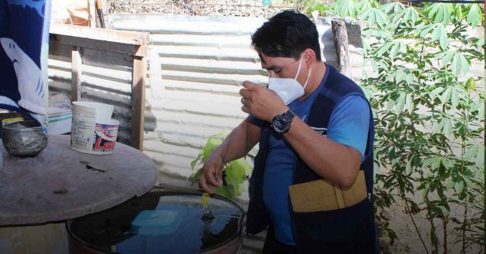 Utcubamba: Se registran más de 500 casos confirmados de dengue