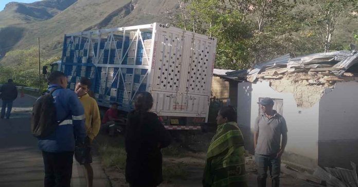 Bongará: Un camión que transportaba pollos chocó contra vivienda