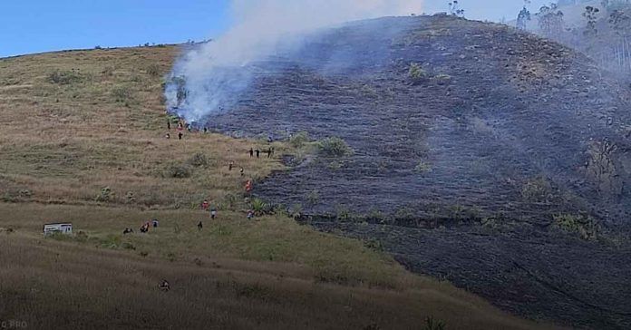 Chachapoyas: Incendio consumió quince hectáreas de vegetación