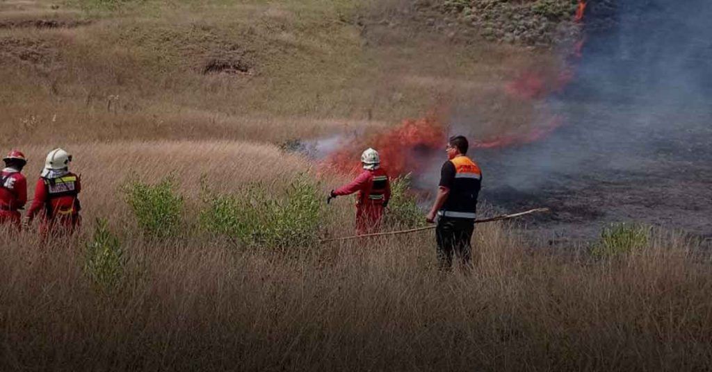 Chachapoyas: Incendio consumió quince hectáreas de vegetación